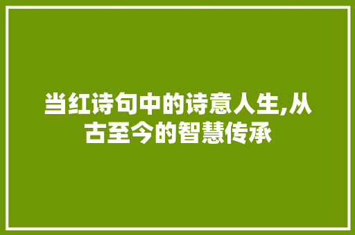 当红诗句中的诗意人生,从古至今的智慧传承