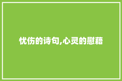 忧伤的诗句,心灵的慰藉