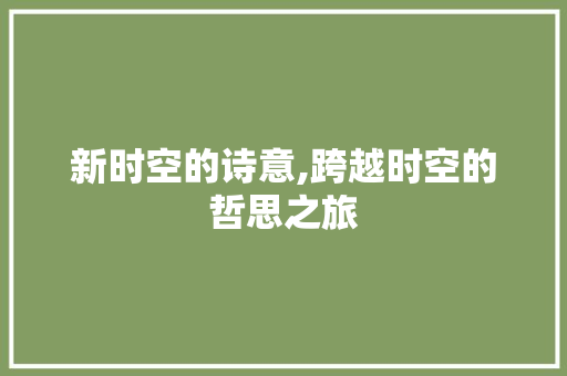 新时空的诗意,跨越时空的哲思之旅 演讲稿