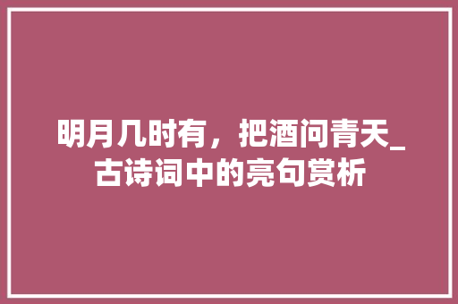 明月几时有，把酒问青天_古诗词中的亮句赏析