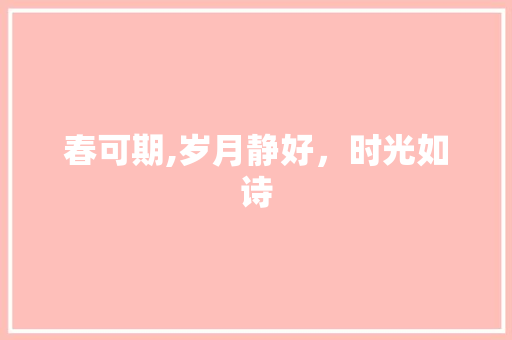 春可期,岁月静好，时光如诗