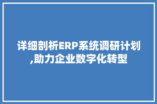 详细剖析ERP系统调研计划,助力企业数字化转型