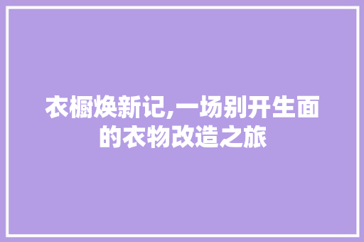 衣橱焕新记,一场别开生面的衣物改造之旅