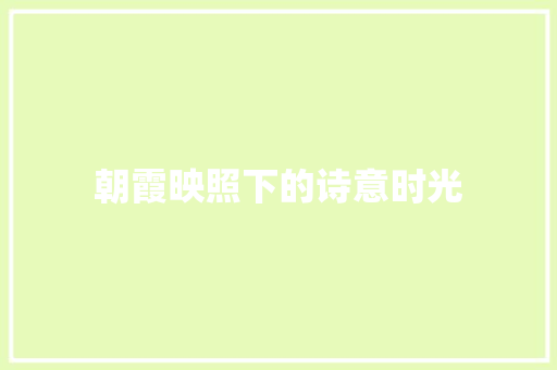 朝霞映照下的诗意时光
