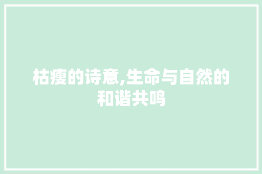 枯瘦的诗意,生命与自然的和谐共鸣