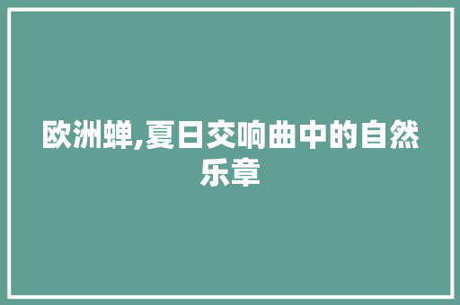 欧洲蝉,夏日交响曲中的自然乐章