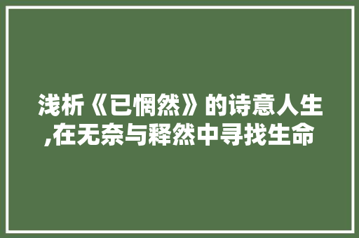 浅析《已惘然》的诗意人生,在无奈与释然中寻找生命真谛