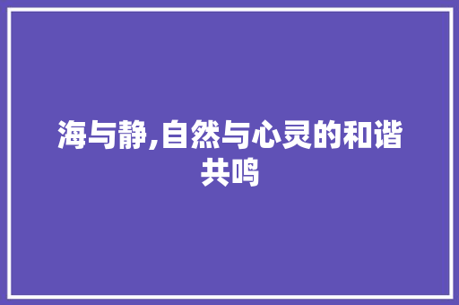 海与静,自然与心灵的和谐共鸣