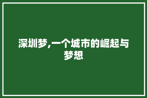 深圳梦,一个城市的崛起与梦想