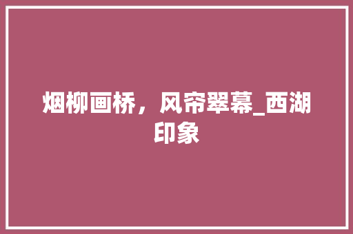 烟柳画桥，风帘翠幕_西湖印象