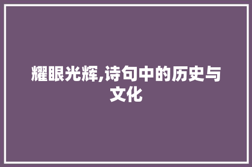 耀眼光辉,诗句中的历史与文化