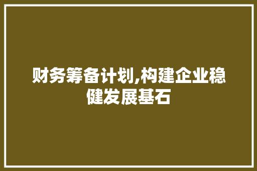 财务筹备计划,构建企业稳健发展基石