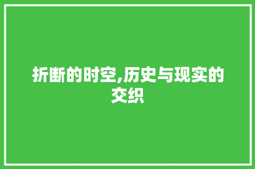 折断的时空,历史与现实的交织 合同范本