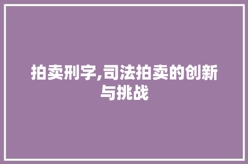 拍卖刑字,司法拍卖的创新与挑战 演讲稿