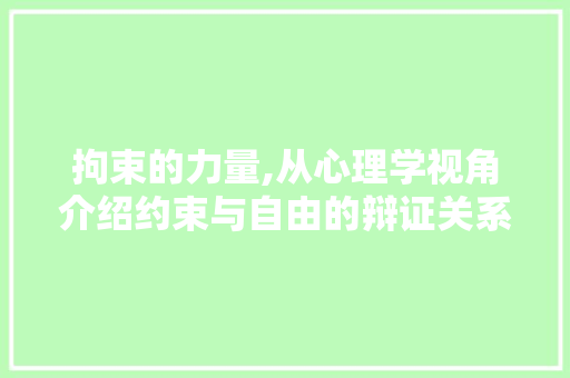拘束的力量,从心理学视角介绍约束与自由的辩证关系 工作计划