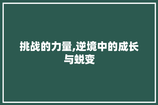 挑战的力量,逆境中的成长与蜕变 合同范本