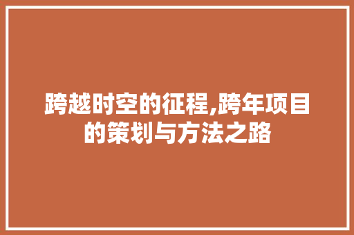 跨越时空的征程,跨年项目的策划与方法之路
