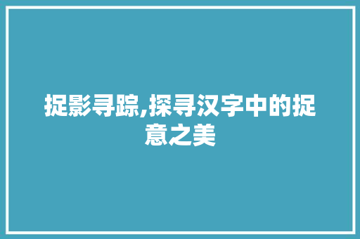 捉影寻踪,探寻汉字中的捉意之美 工作总结
