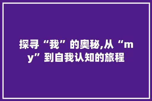 探寻“我”的奥秘,从“my”到自我认知的旅程