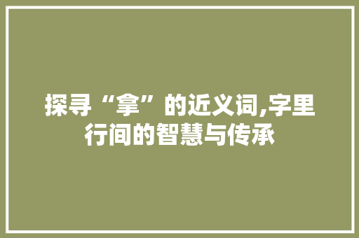 探寻“拿”的近义词,字里行间的智慧与传承