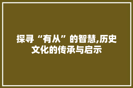 探寻“有从”的智慧,历史文化的传承与启示