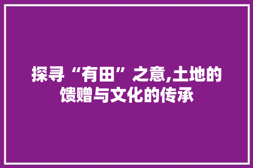 探寻“有田”之意,土地的馈赠与文化的传承 工作总结