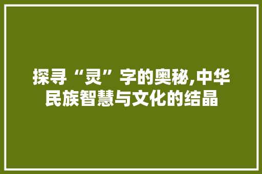 探寻“灵”字的奥秘,中华民族智慧与文化的结晶 工作计划