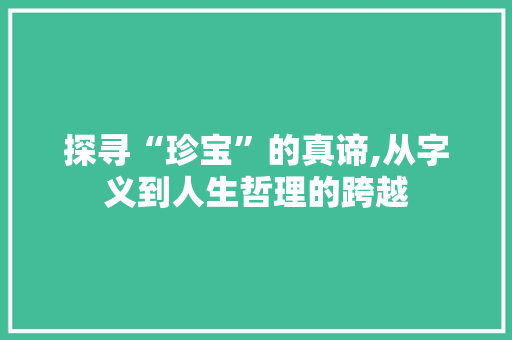 探寻“珍宝”的真谛,从字义到人生哲理的跨越 工作计划