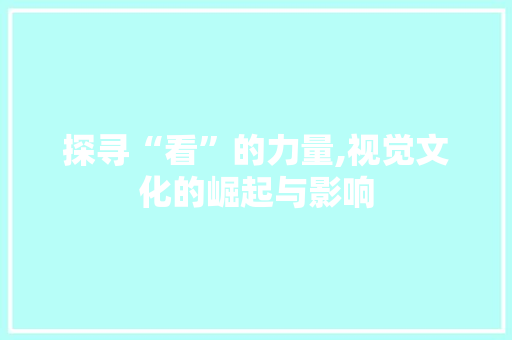 探寻“看”的力量,视觉文化的崛起与影响