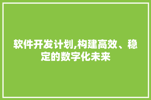 软件开发计划,构建高效、稳定的数字化未来