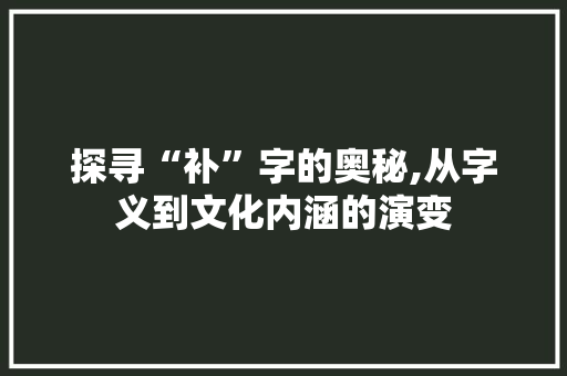 探寻“补”字的奥秘,从字义到文化内涵的演变 诗词鉴赏