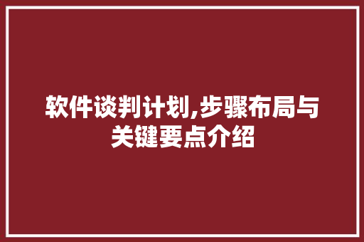 软件谈判计划,步骤布局与关键要点介绍