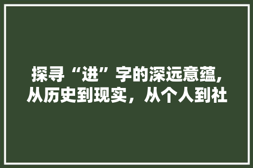 探寻“进”字的深远意蕴,从历史到现实，从个人到社会