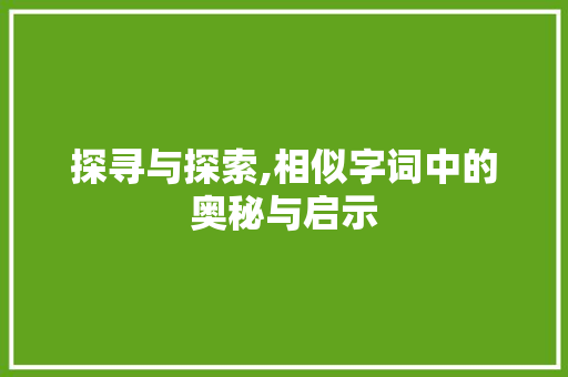 探寻与探索,相似字词中的奥秘与启示