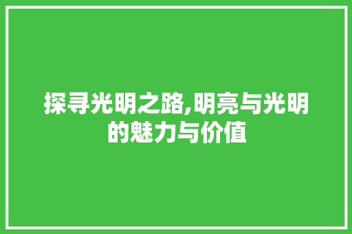 探寻光明之路,明亮与光明的魅力与价值