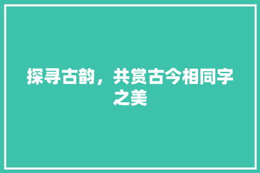 探寻古韵，共赏古今相同字之美