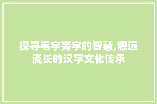 探寻毛字旁字的智慧,源远流长的汉字文化传承