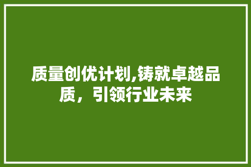 质量创优计划,铸就卓越品质，引领行业未来