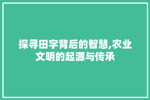 探寻田字背后的智慧,农业文明的起源与传承