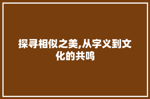 探寻相似之美,从字义到文化的共鸣