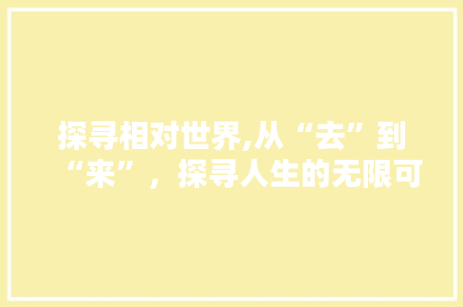 探寻相对世界,从“去”到“来”，探寻人生的无限可能 工作总结