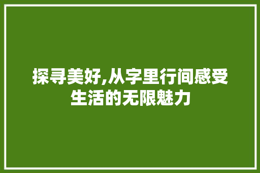 探寻美好,从字里行间感受生活的无限魅力