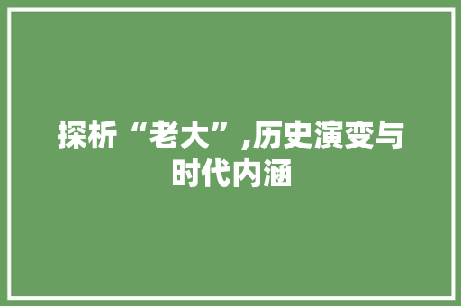 探析“老大”,历史演变与时代内涵