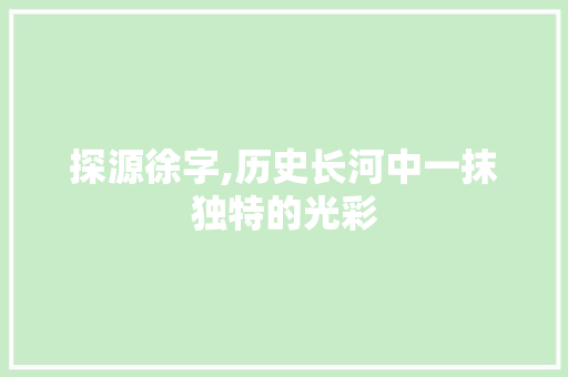 探源徐字,历史长河中一抹独特的光彩 演讲稿
