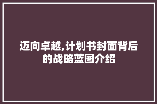 迈向卓越,计划书封面背后的战略蓝图介绍