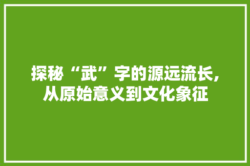 探秘“武”字的源远流长,从原始意义到文化象征