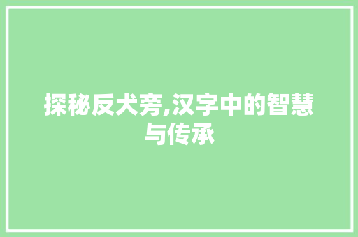 探秘反犬旁,汉字中的智慧与传承