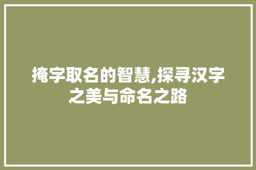 掩字取名的智慧,探寻汉字之美与命名之路