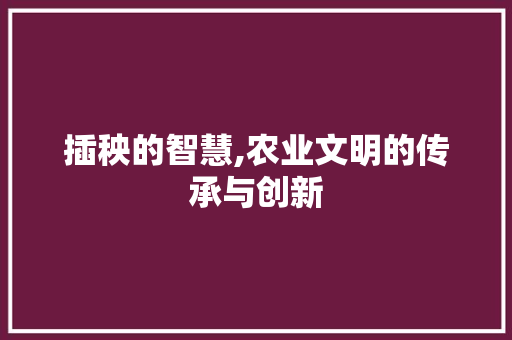 插秧的智慧,农业文明的传承与创新 工作计划