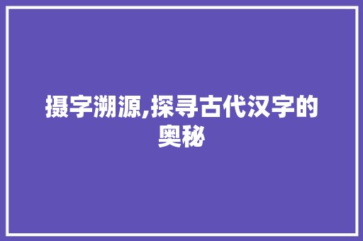 摄字溯源,探寻古代汉字的奥秘